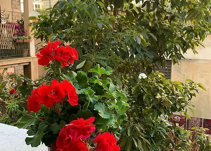 Ermosa Gasthuis Palermo