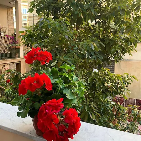 Ermosa Affittacamere Palermo